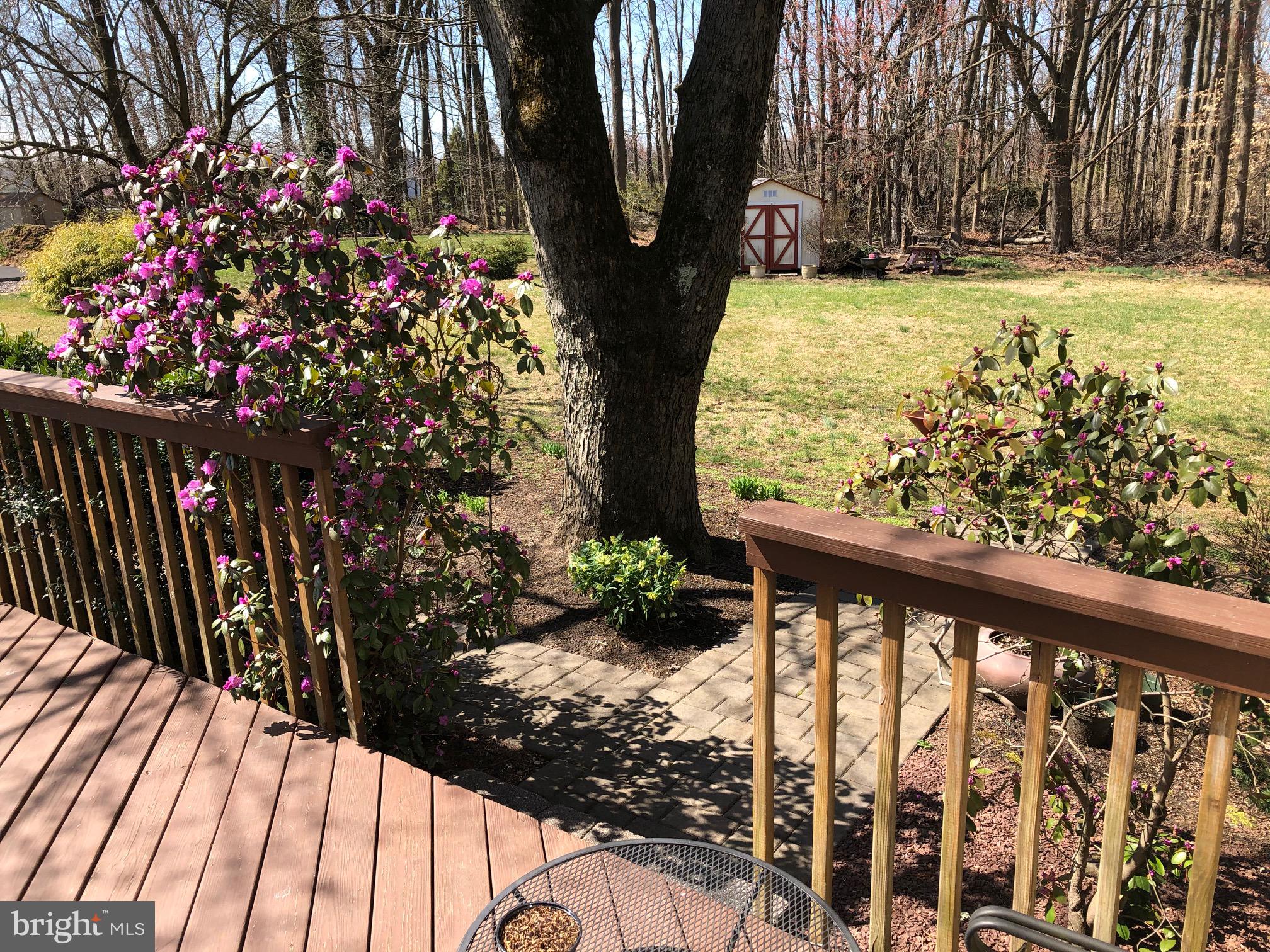95 Richardson Road Robbinsville, NJ 08691 - Photo 28 of 30 Beautiful grounds!