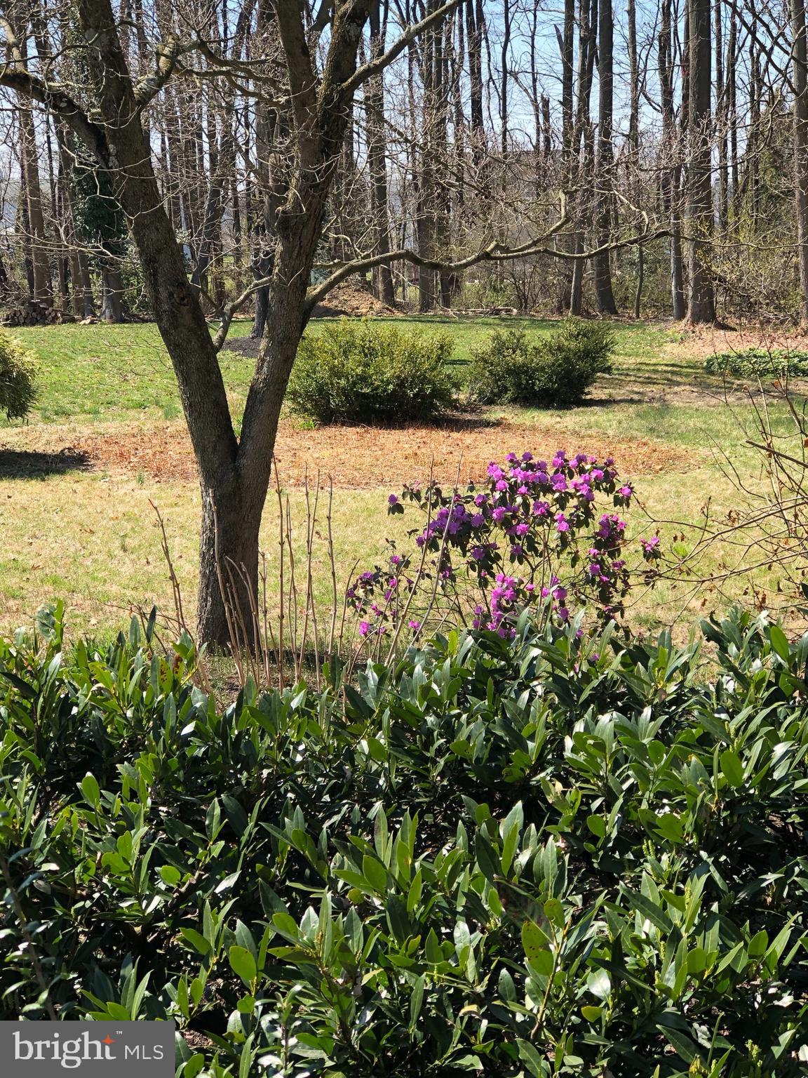 95 Richardson Road Robbinsville, NJ 08691 - Photo 30 of 30 Beautiful grounds!