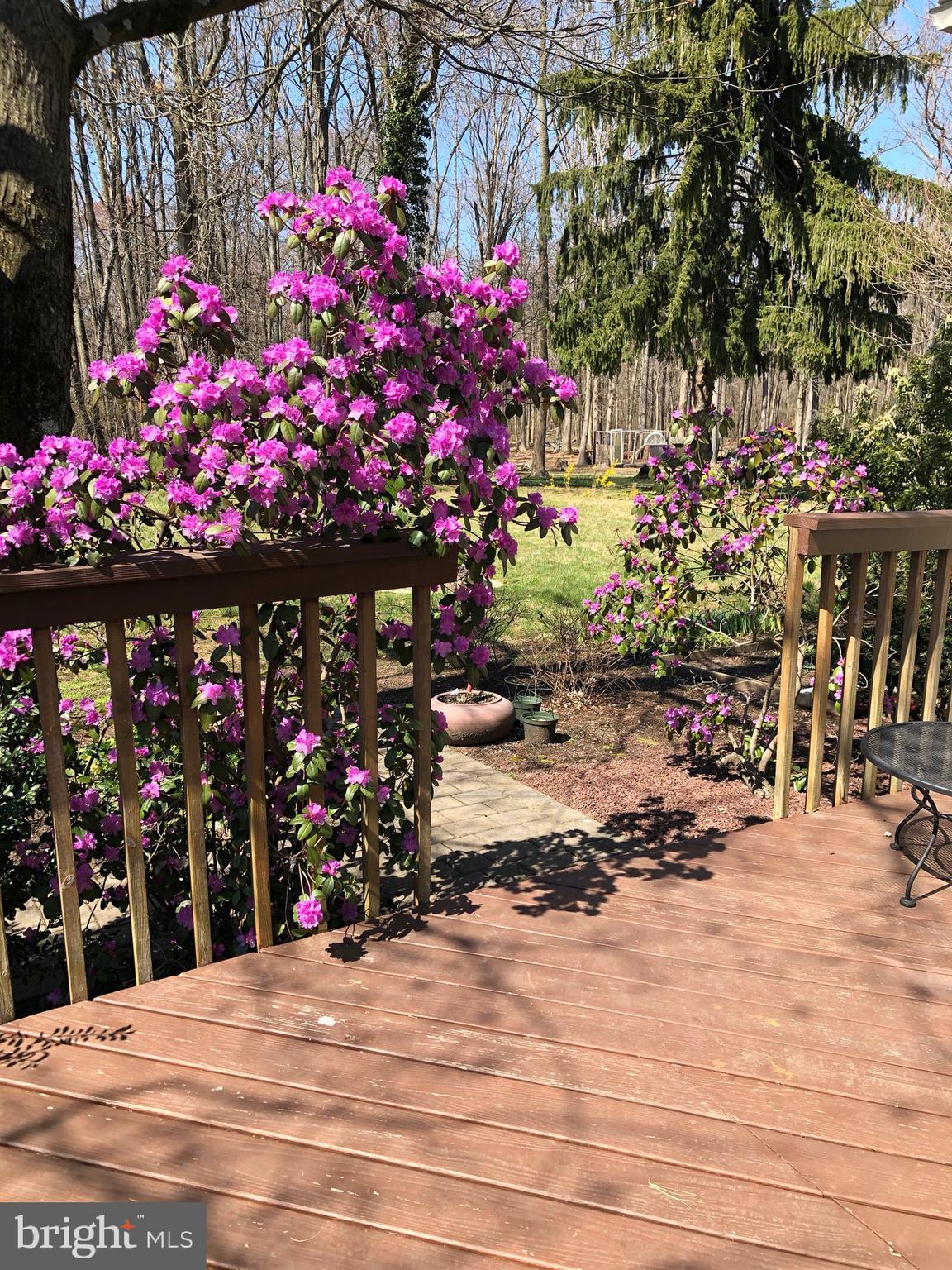95 Richardson Road Robbinsville, NJ 08691 - Photo 4 of 30 Beautiful grounds!