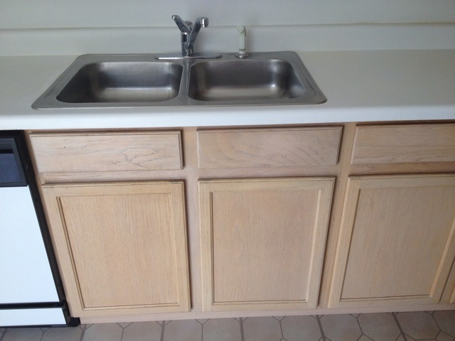 9471 Harrison Street Des Plaines, IL 60016 - Photo 6 of 9 a close view of sink