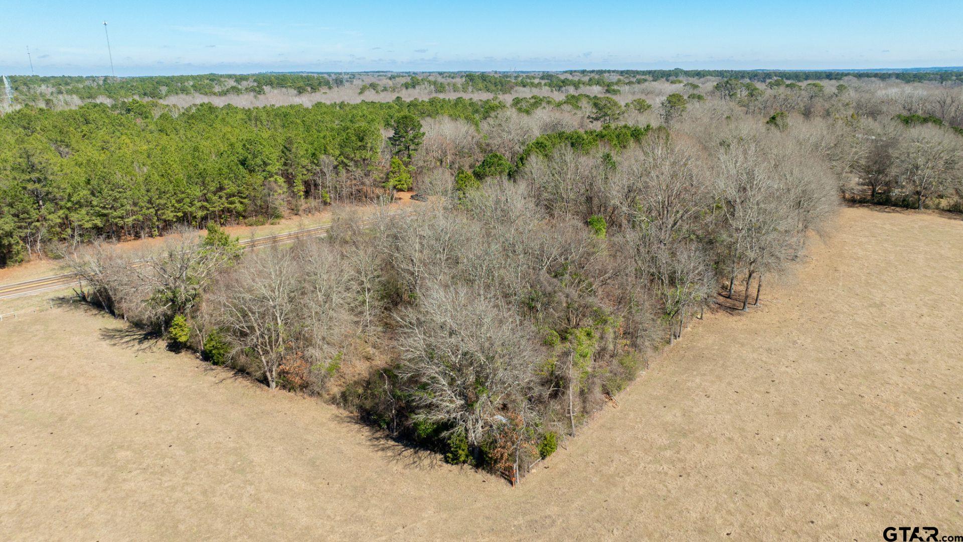 0 Fm 918 Overton, TX 75684 - Photo 11 of 13