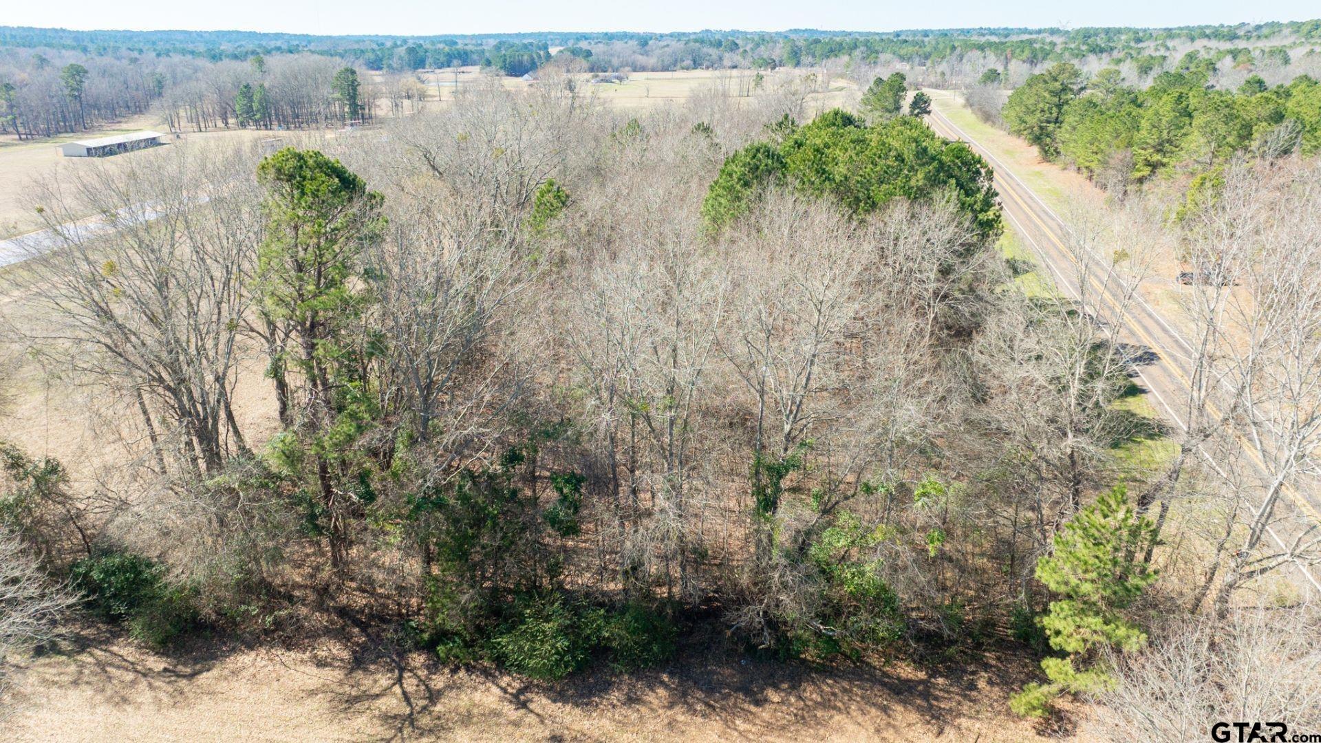 0 Fm 918 Overton, TX 75684 - Photo 12 of 13