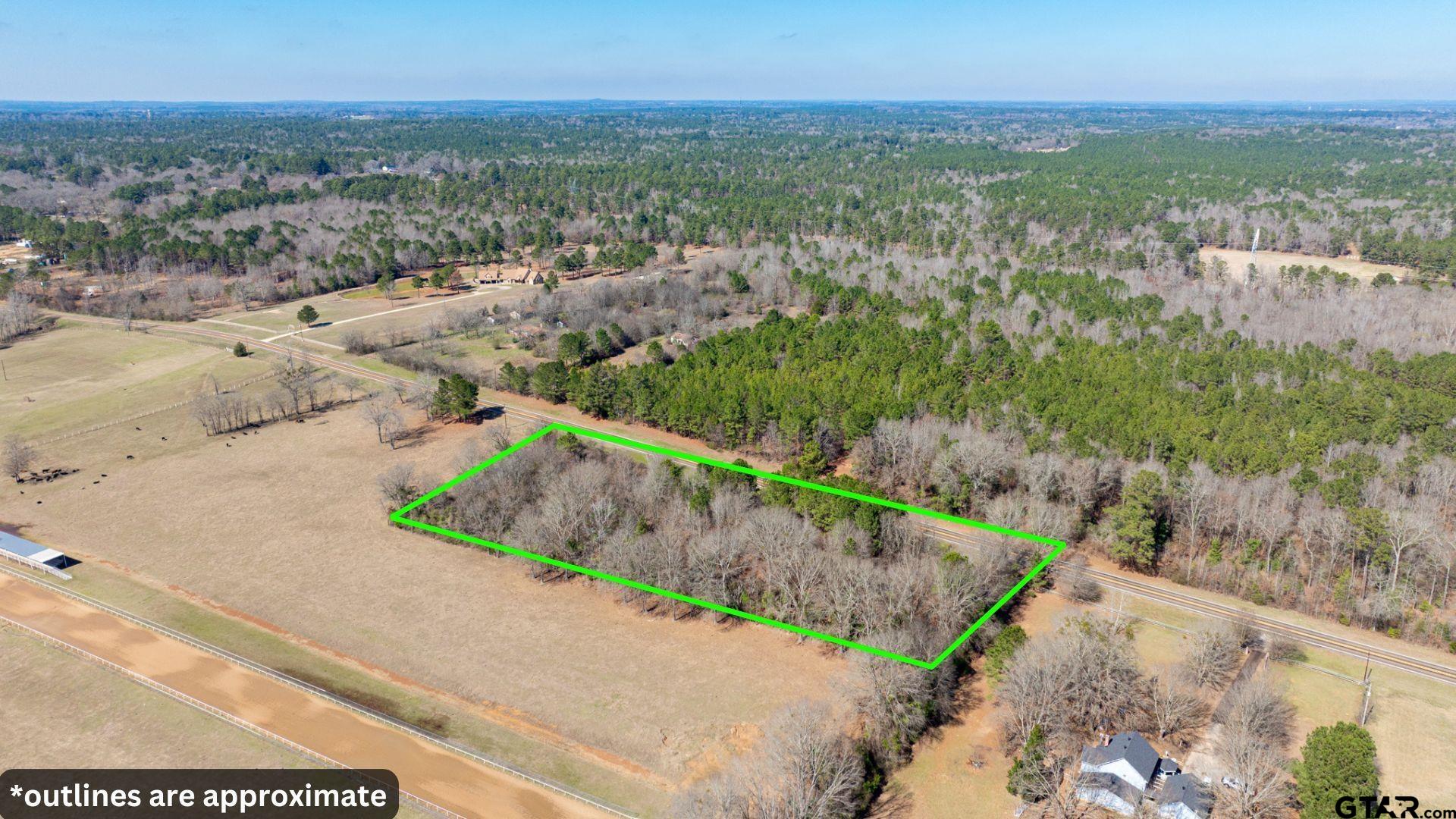 0 Fm 918 Overton, TX 75684 - Photo 4 of 13