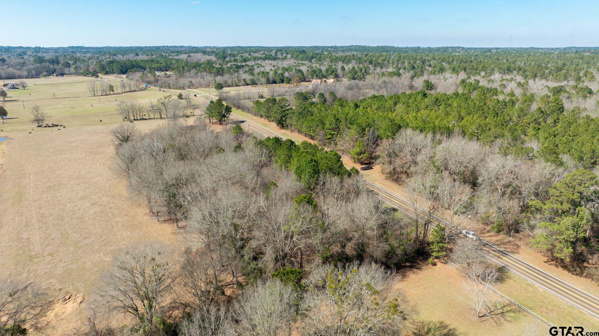 0 Fm 918 Overton, TX 75684 - Photo 10 of 13