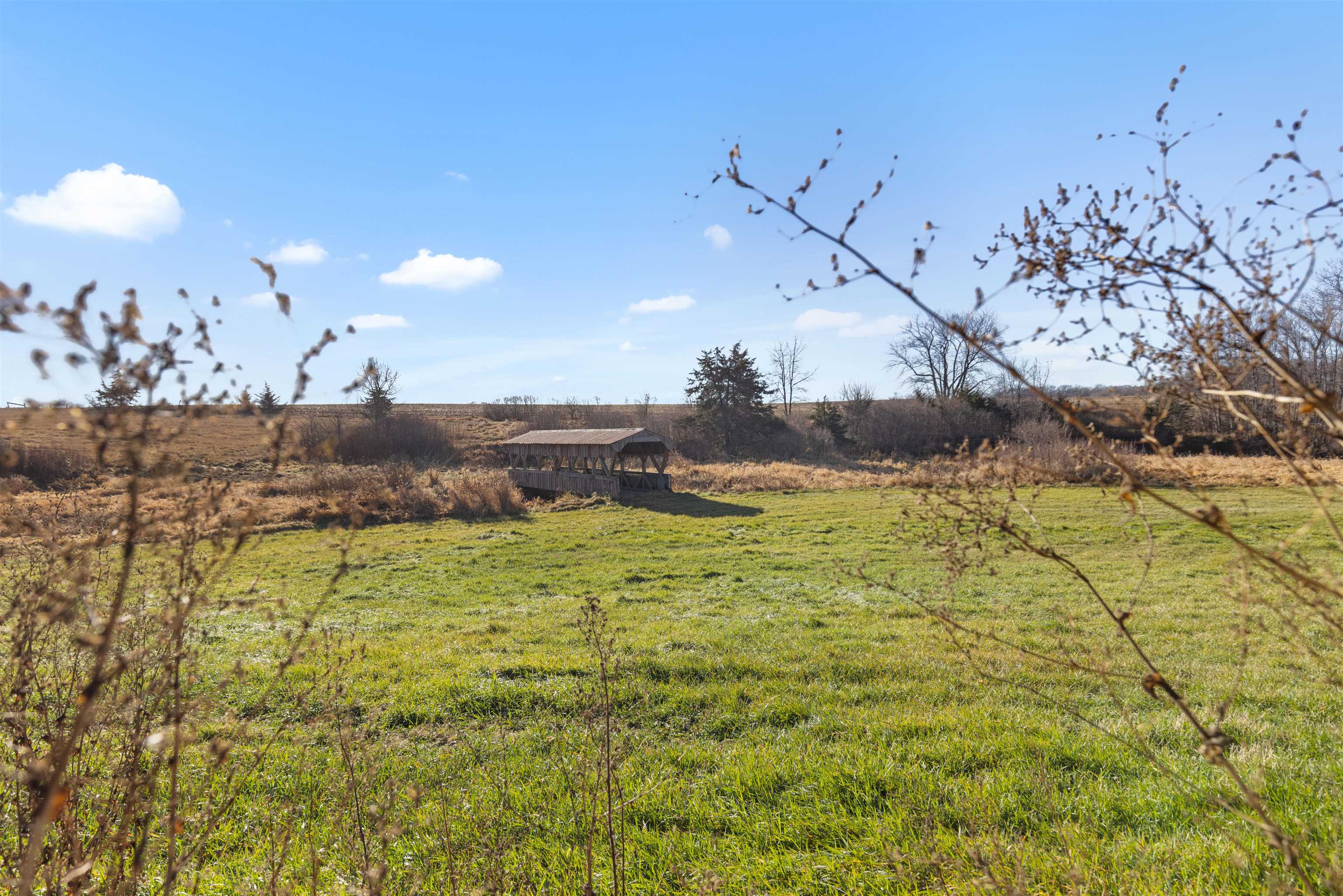 395 North Cedarville Road Freeport, IL 61032 - Photo 42 of 47 a view of a yard