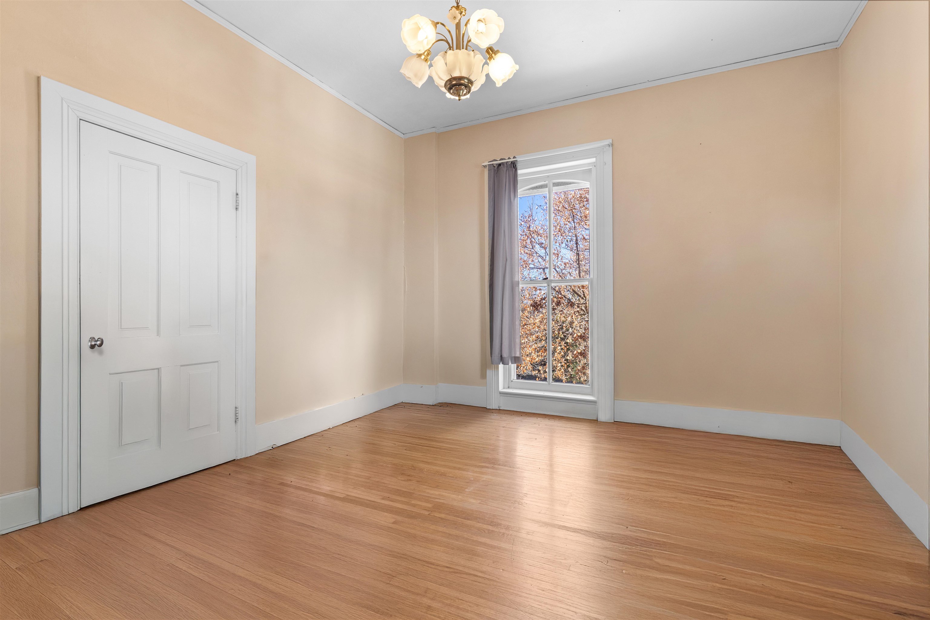 395 North Cedarville Road Freeport, IL 61032 - Photo 10 of 47 an empty room with wooden floor chandelier fan and windows
