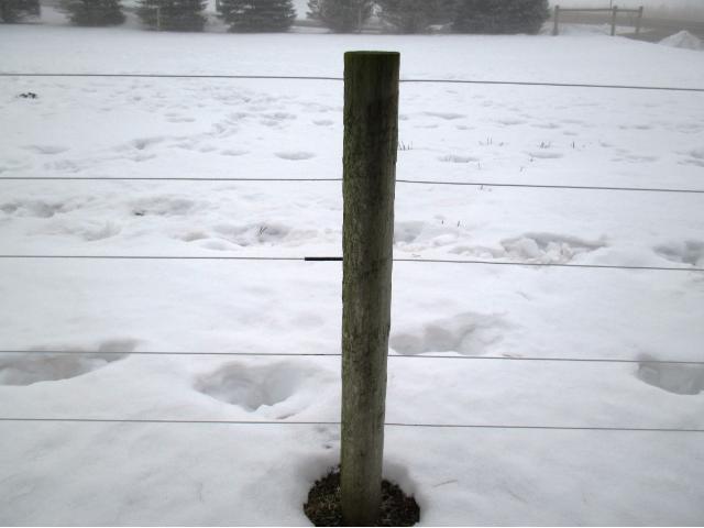 N7254 County Road West River Falls, WI 54022 - Photo 18 of 18 Gallery Image 18