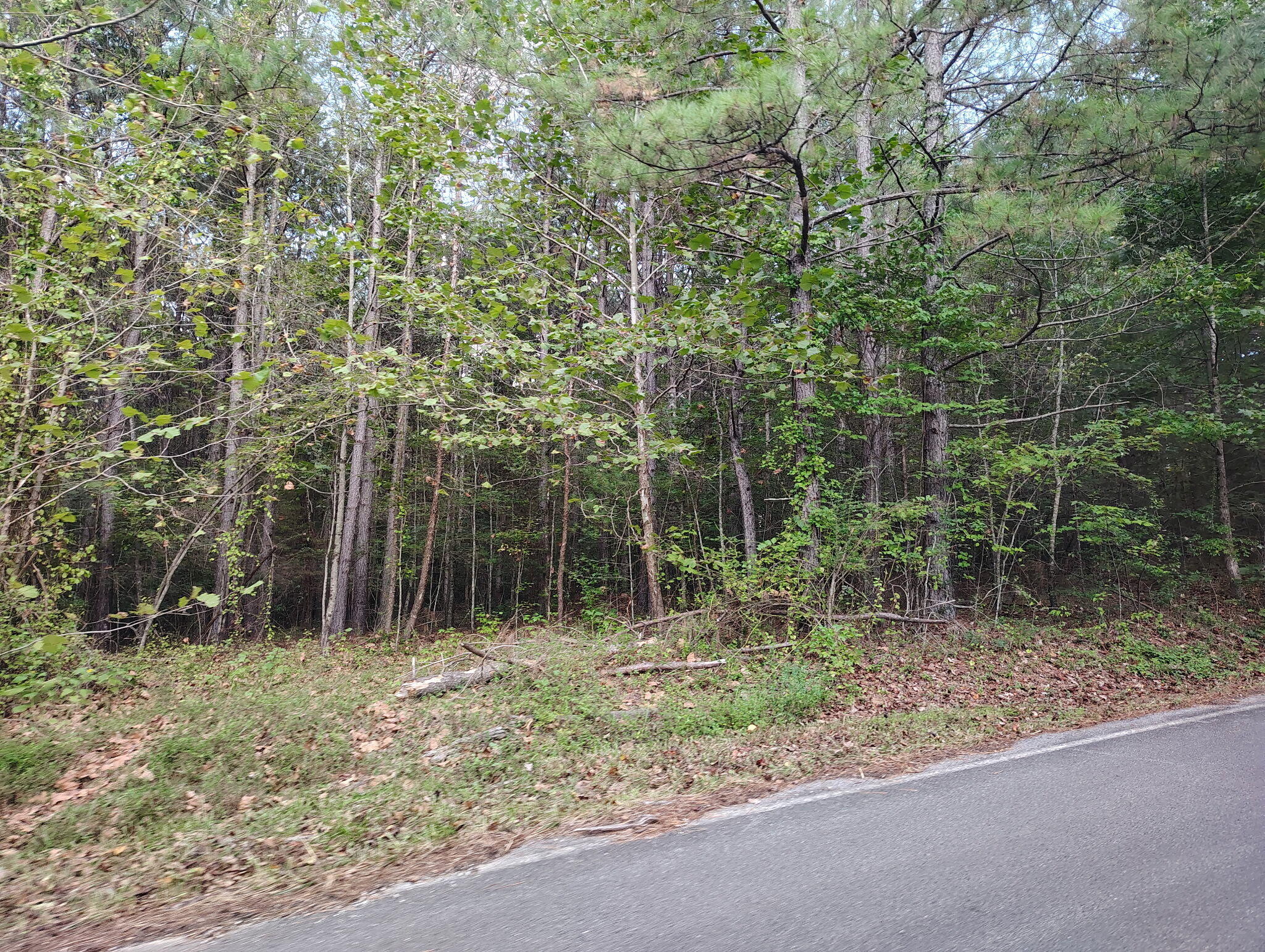 1000018542