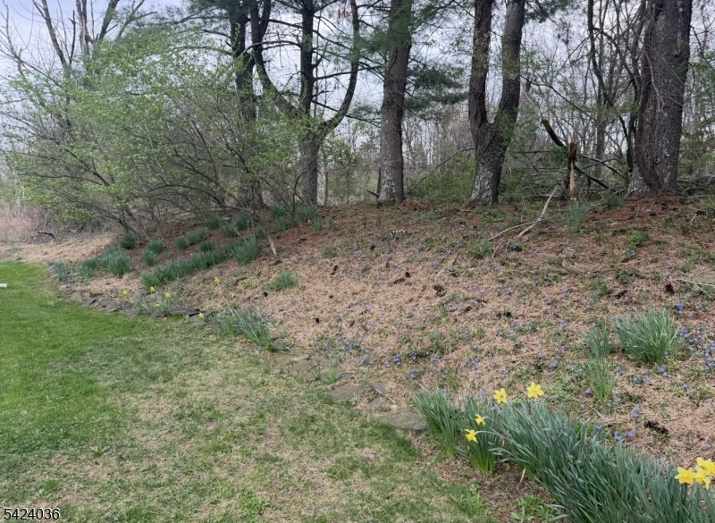 42 Welisewitz Road Ringoes, NJ 08551 - Photo 8 of 9