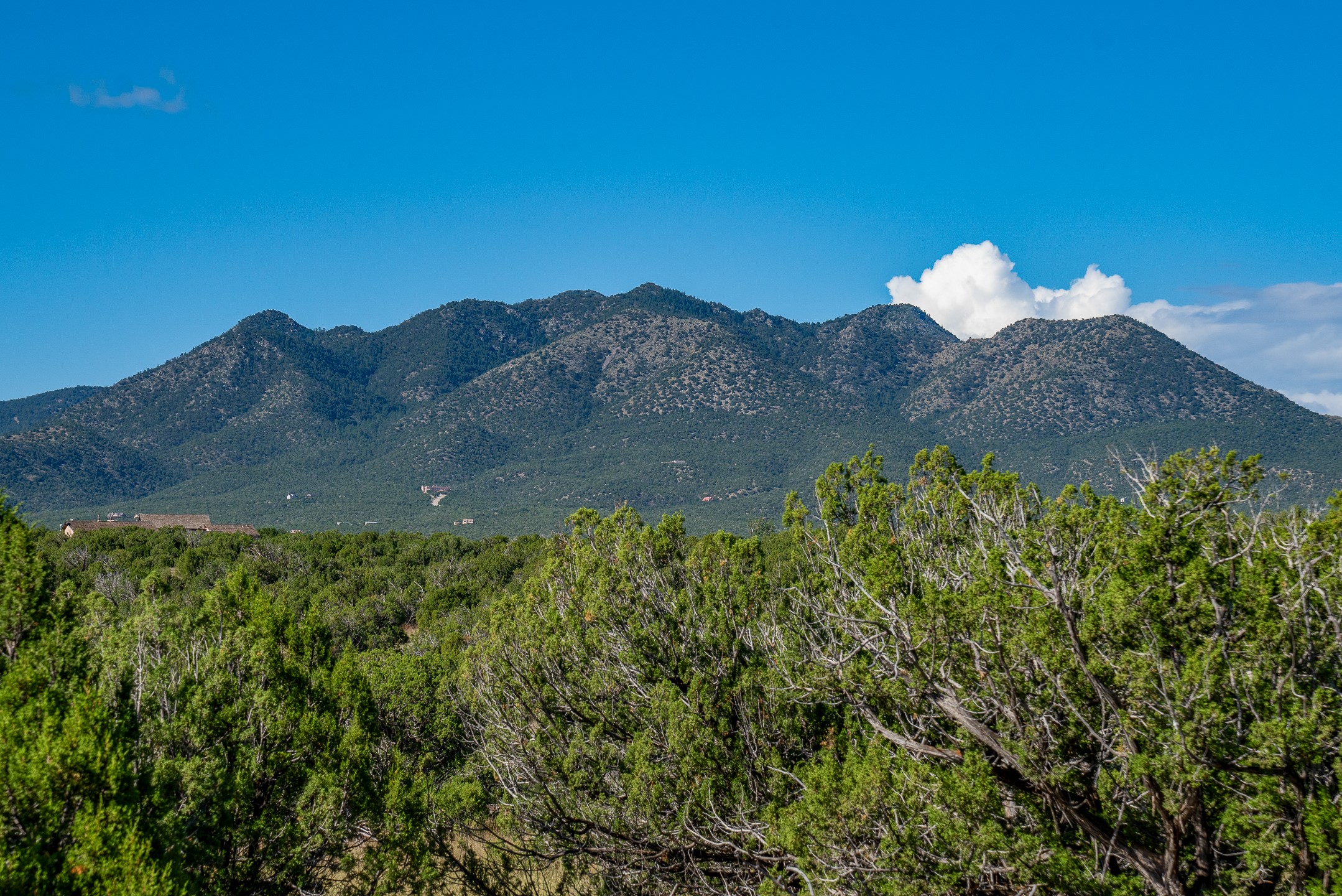 95 Grenfell Ranch Road Cerrillos, NM 87010 - Photo 32 of 47
