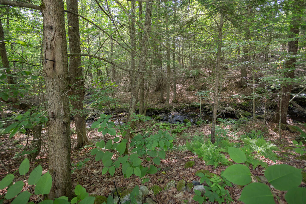 72 Fayette Corner Road Kents Hill, ME 04349 - Photo 57 of 62 taylor-kaminsky-photo-38