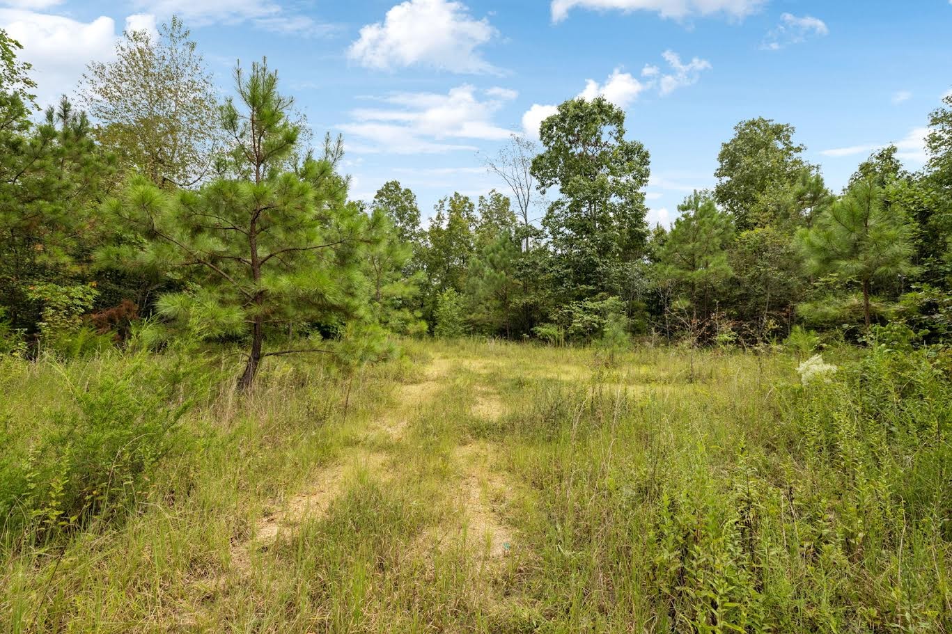 0 Trace Creek Road Hohenwald, TN 38462 - Photo 14 of 18 Gallery Image 14
