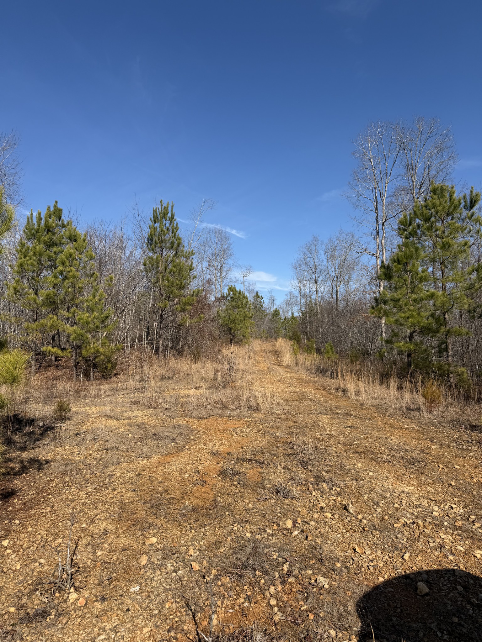 0 Trace Creek Road Hohenwald, TN 38462 - Photo 16 of 16 a view of lake view and mountain view