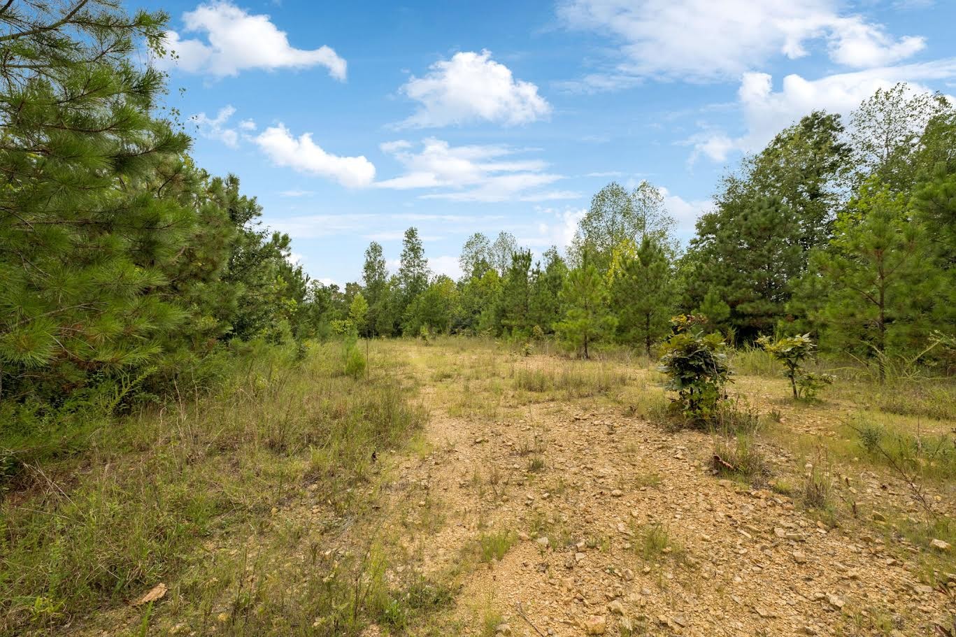 0 Trace Creek Road Hohenwald, TN 38462 - Photo 16 of 18 Gallery Image 16