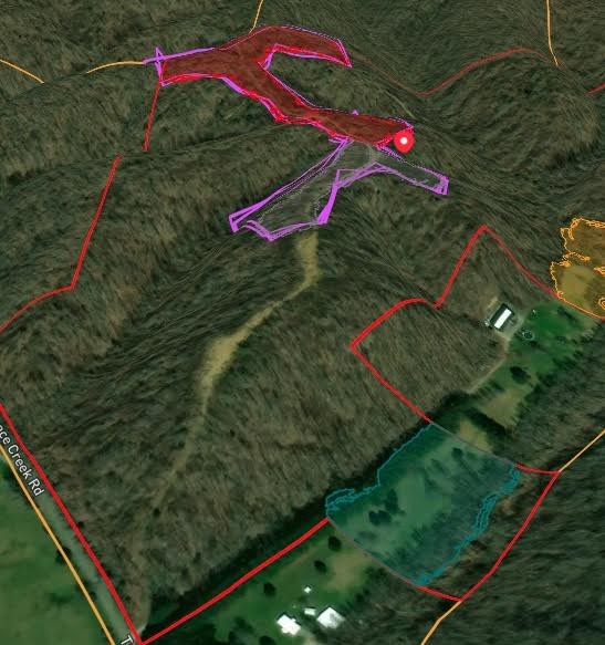 0 Trace Creek Road Hohenwald, TN 38462 - Photo 5 of 16 a view of a backyard