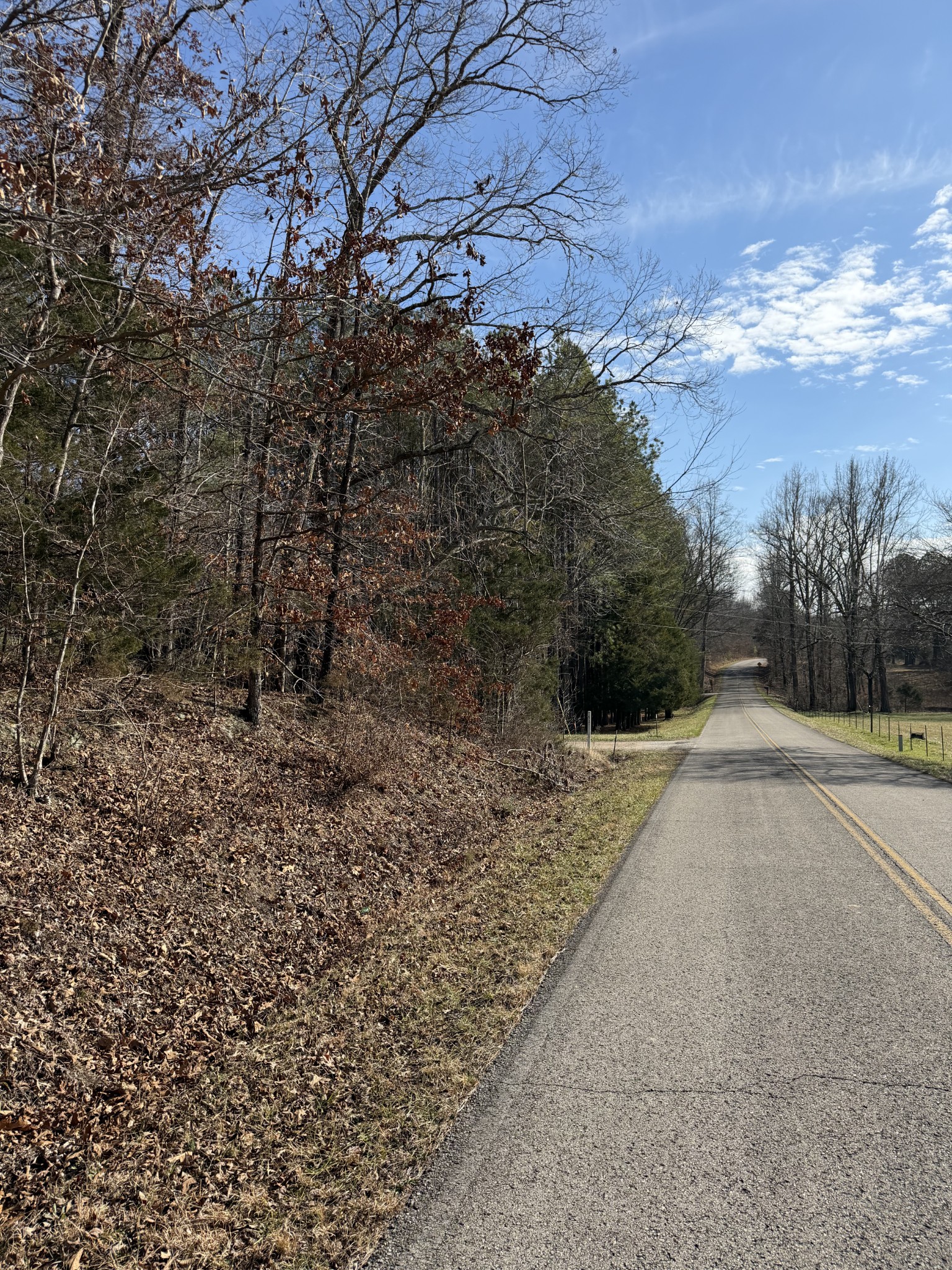 0 Trace Creek Road Hohenwald, TN 38462 - Photo 6 of 16 a view of a yard with trees outside of the house
