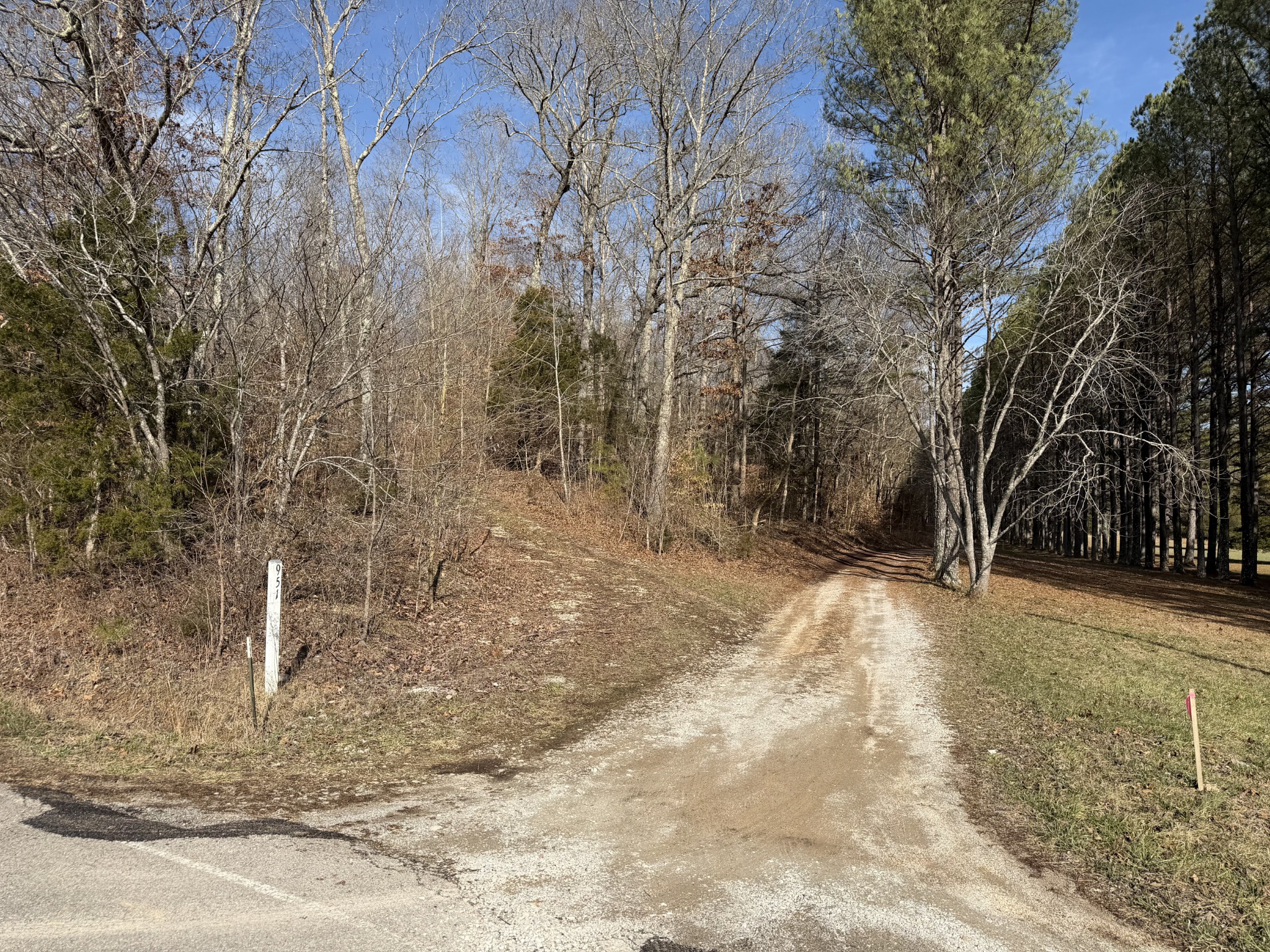 0 Trace Creek Road Hohenwald, TN 38462 - Photo 10 of 18 Gallery Image 10