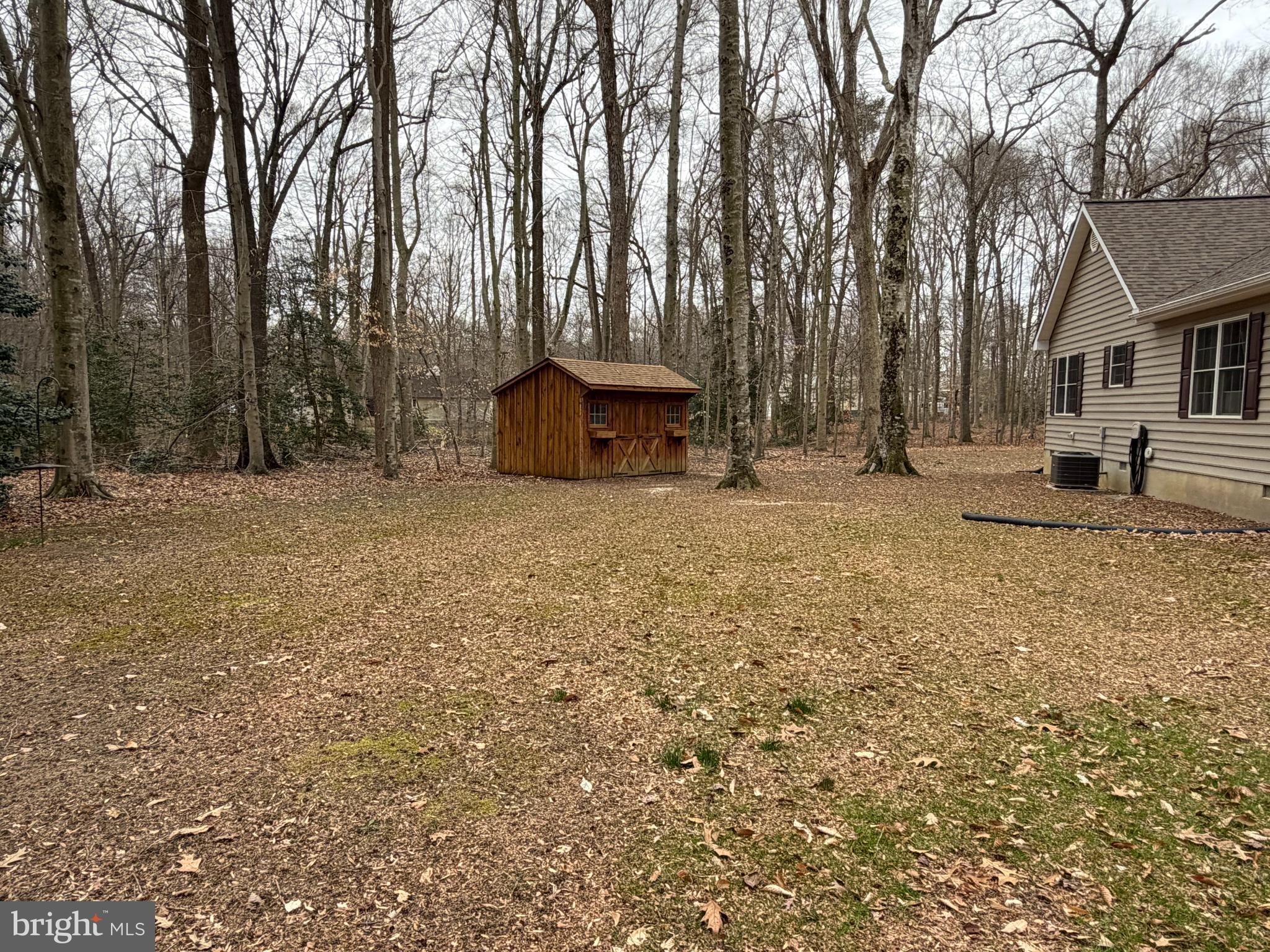 8664 Mitchell Road Denton, MD 21629 - Photo 5 of 19 Shed