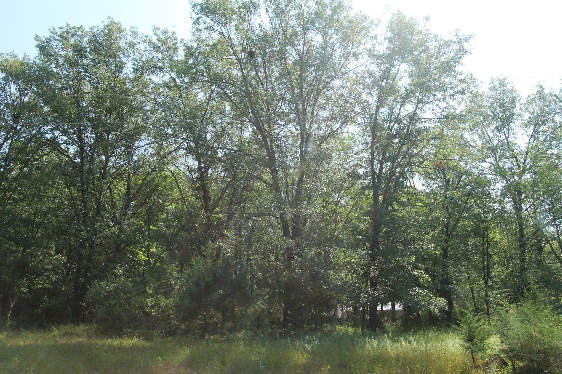 Lot 53 Tomahawk Montello, WI 53949 - Photo 1 of 8