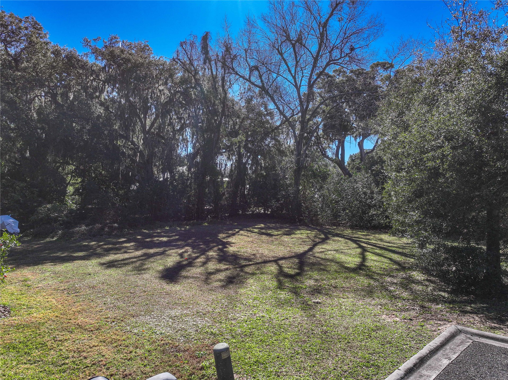 95003 Manucy Pointe Drive Fernandina Beach, FL 32034 - Photo 12 of 29 a backyard of a house with lots of green space