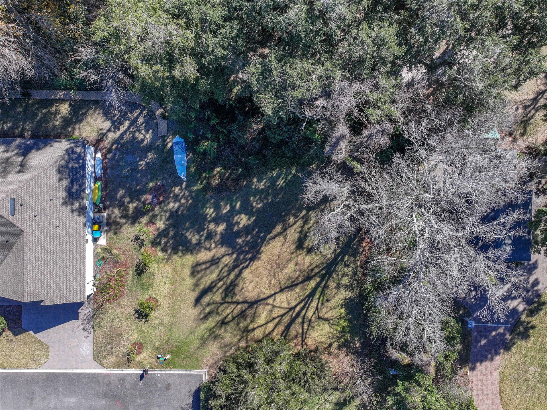 95003 Manucy Pointe Drive Fernandina Beach, FL 32034 - Photo 17 of 29 a view of a tree in a yard