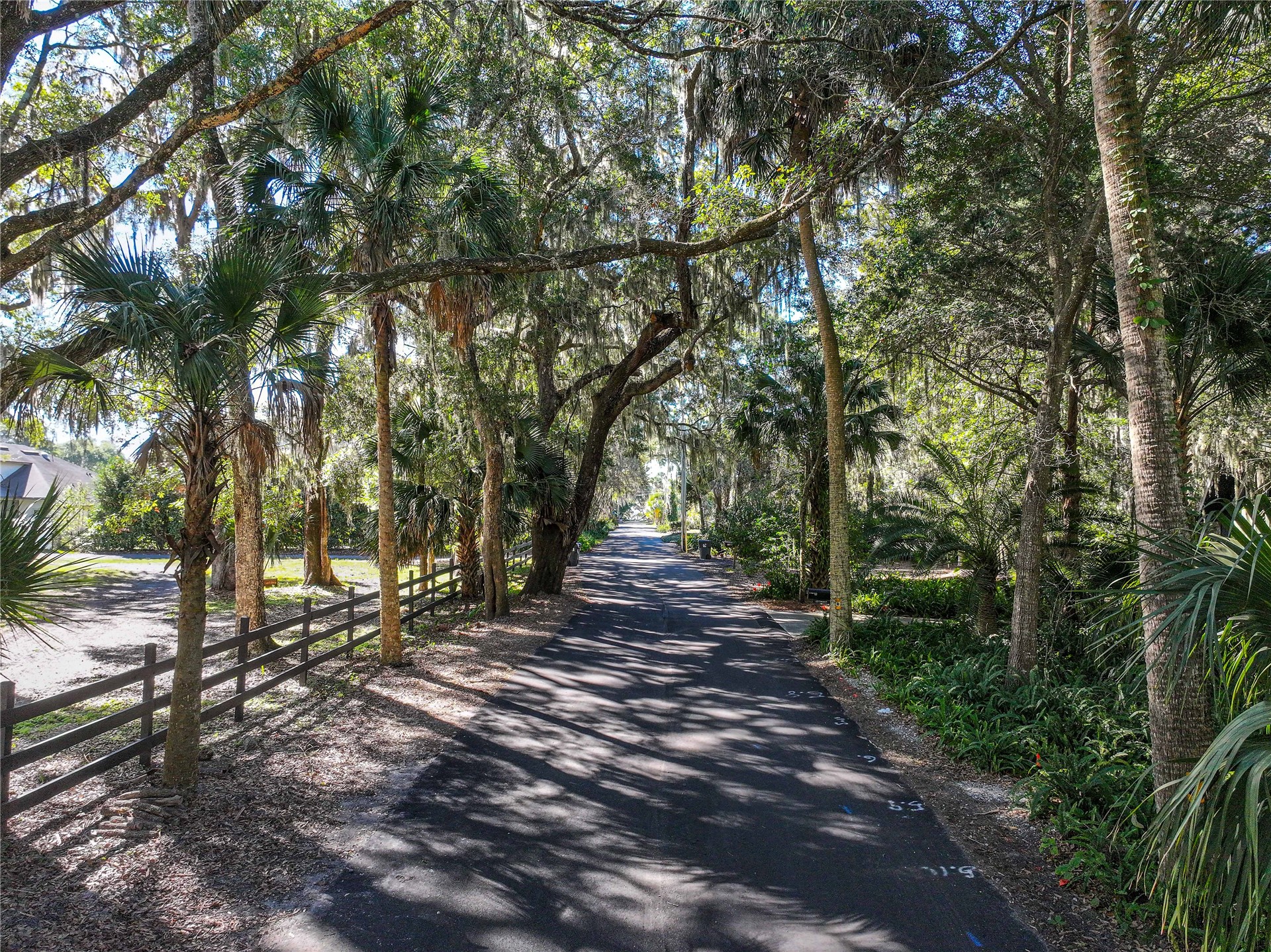 95003 Manucy Pointe Drive Fernandina Beach, FL 32034 - Photo 4 of 29 a view of a forest with trees