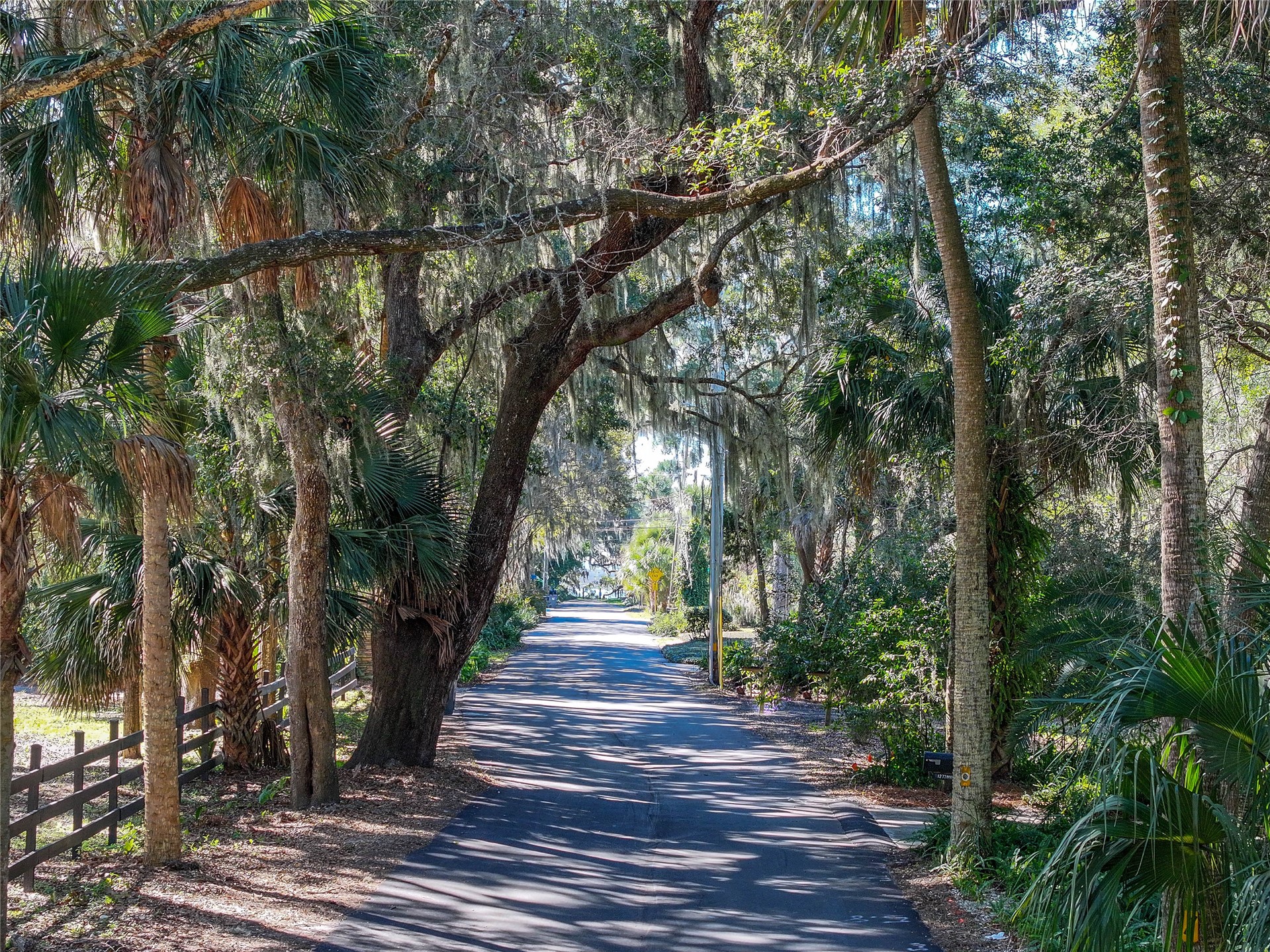 95003 Manucy Pointe Drive Fernandina Beach, FL 32034 - Photo 5 of 29 a view of outdoor space with deck and tree