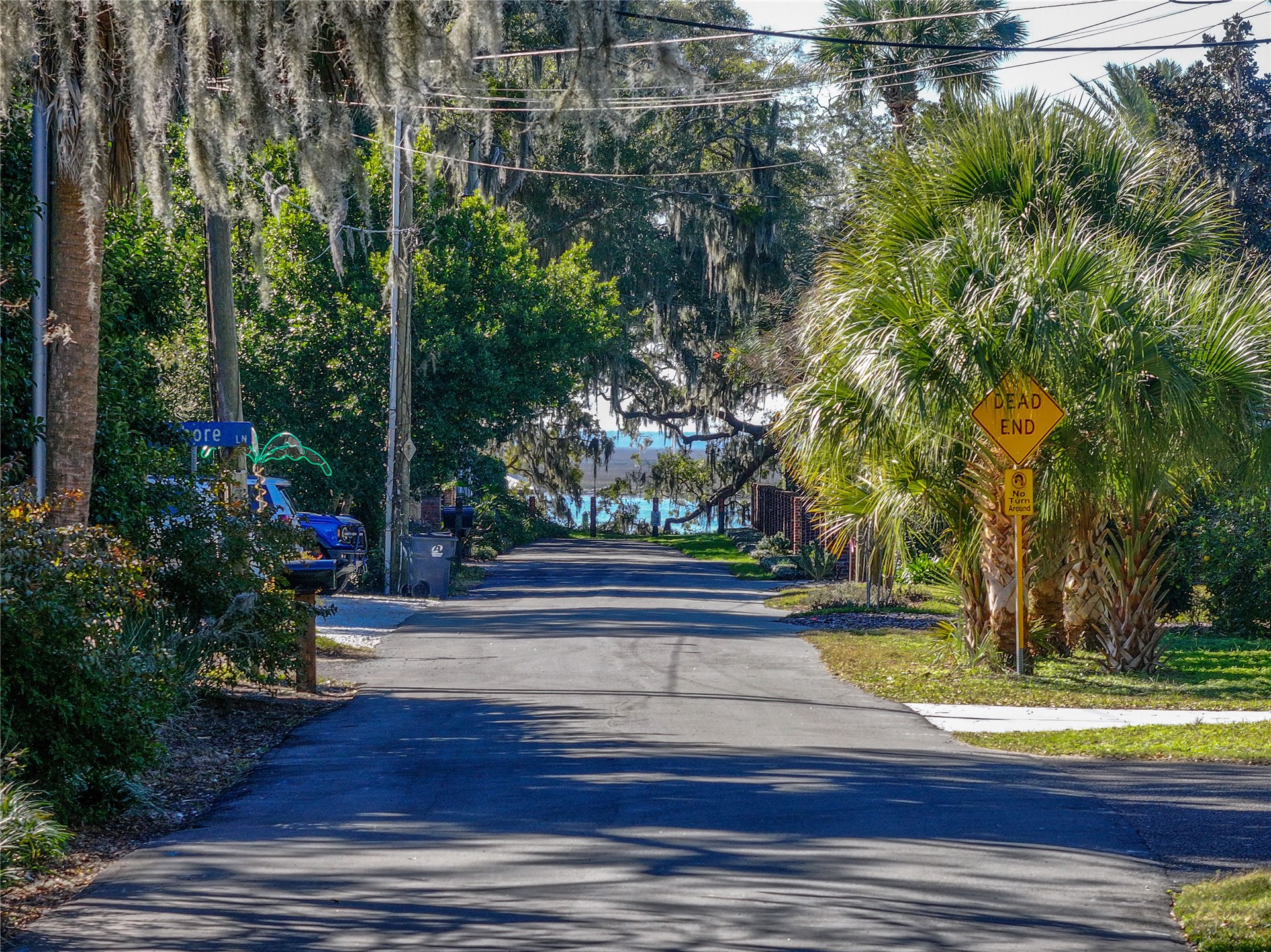 95003 Manucy Pointe Drive Fernandina Beach, FL 32034 - Photo 6 of 29 a view of fountain in a yard with potted plants and large trees