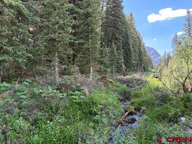 10.33-ac 10.33-ac Imogene Road Ridgway, CO 81432 - Photo 13 of 22
