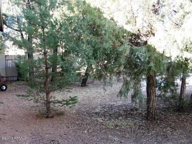 603 North Oak Ridge Road Payson, AZ 85541 - Photo 19 of 20 042 - Copy