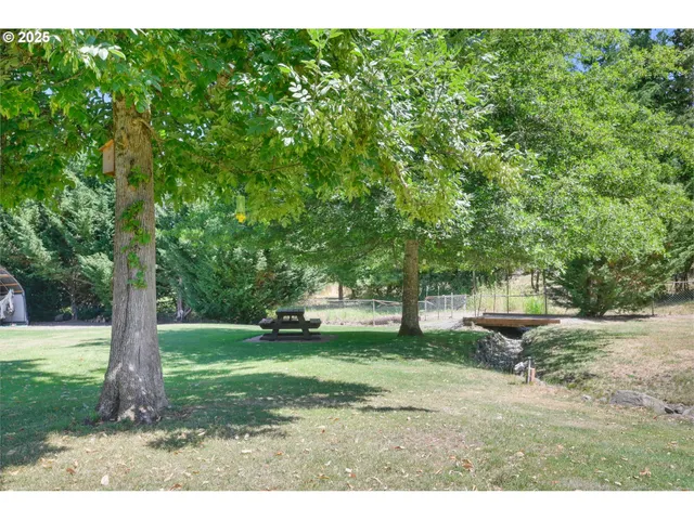 a view of a yard with plants and trees