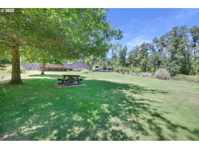 a view of a backyard with large trees and plants