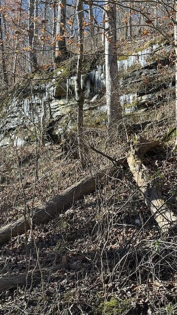 0 Mosley Bend Road Hyden, KY 41749 - Photo 13 of 17 IMG_1679