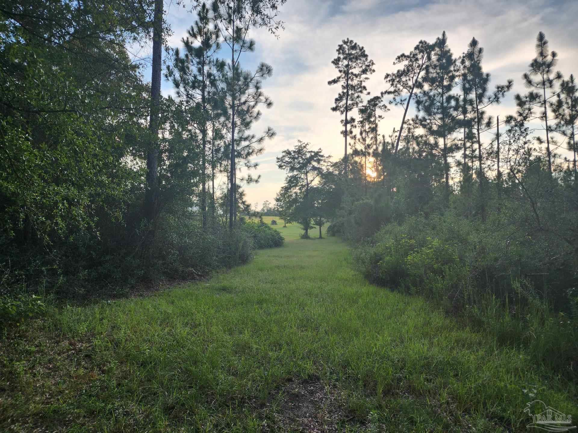 2264 Lewis Road Milton, FL 32570 - Photo 3 of 18 Gallery Image 3