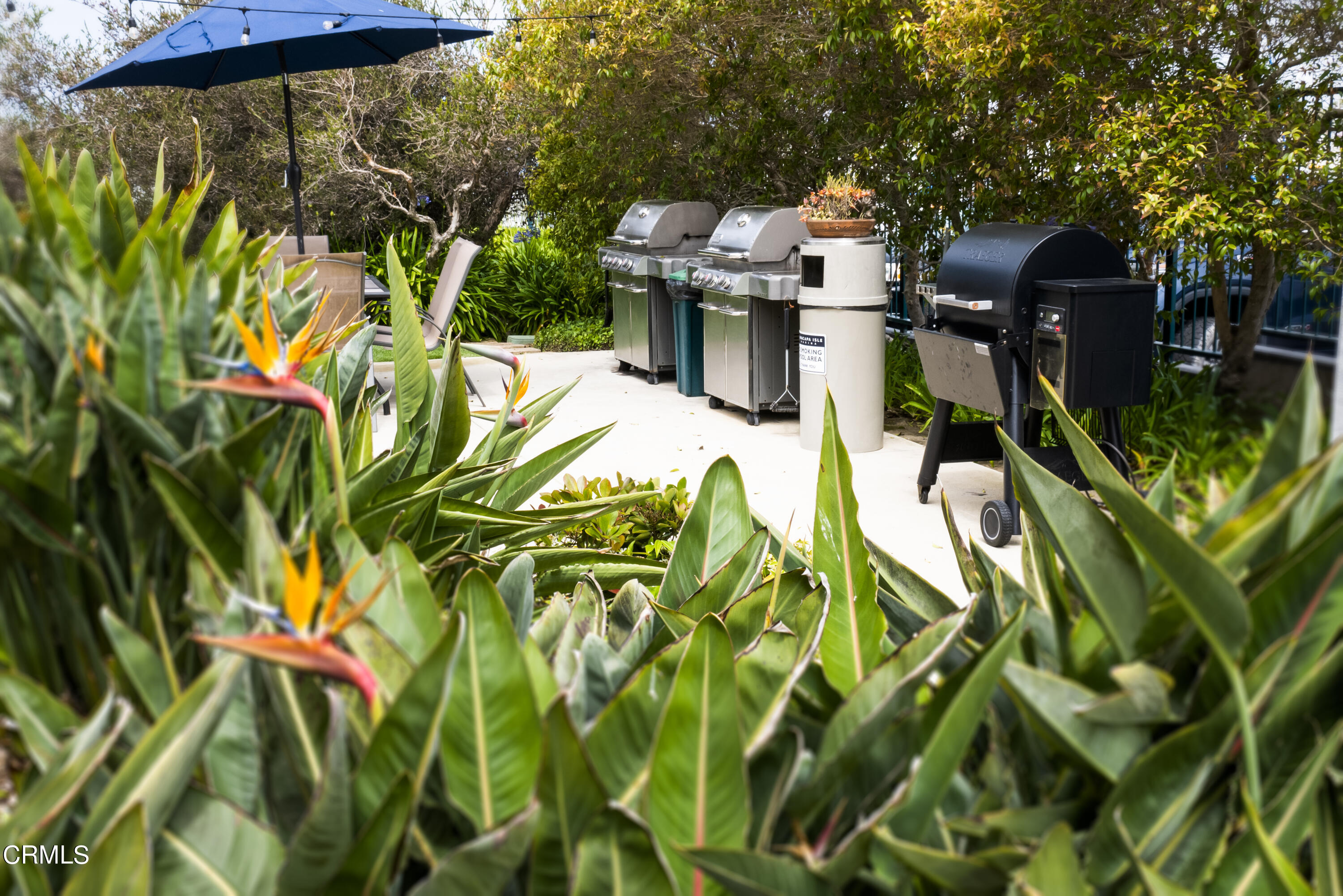 3101 Peninsula Road, Unit 307 Oxnard, CA 93035 - Photo 17 of 22 a backyard of a house with lots of green space