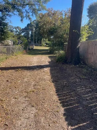 a view of a yard with a tree