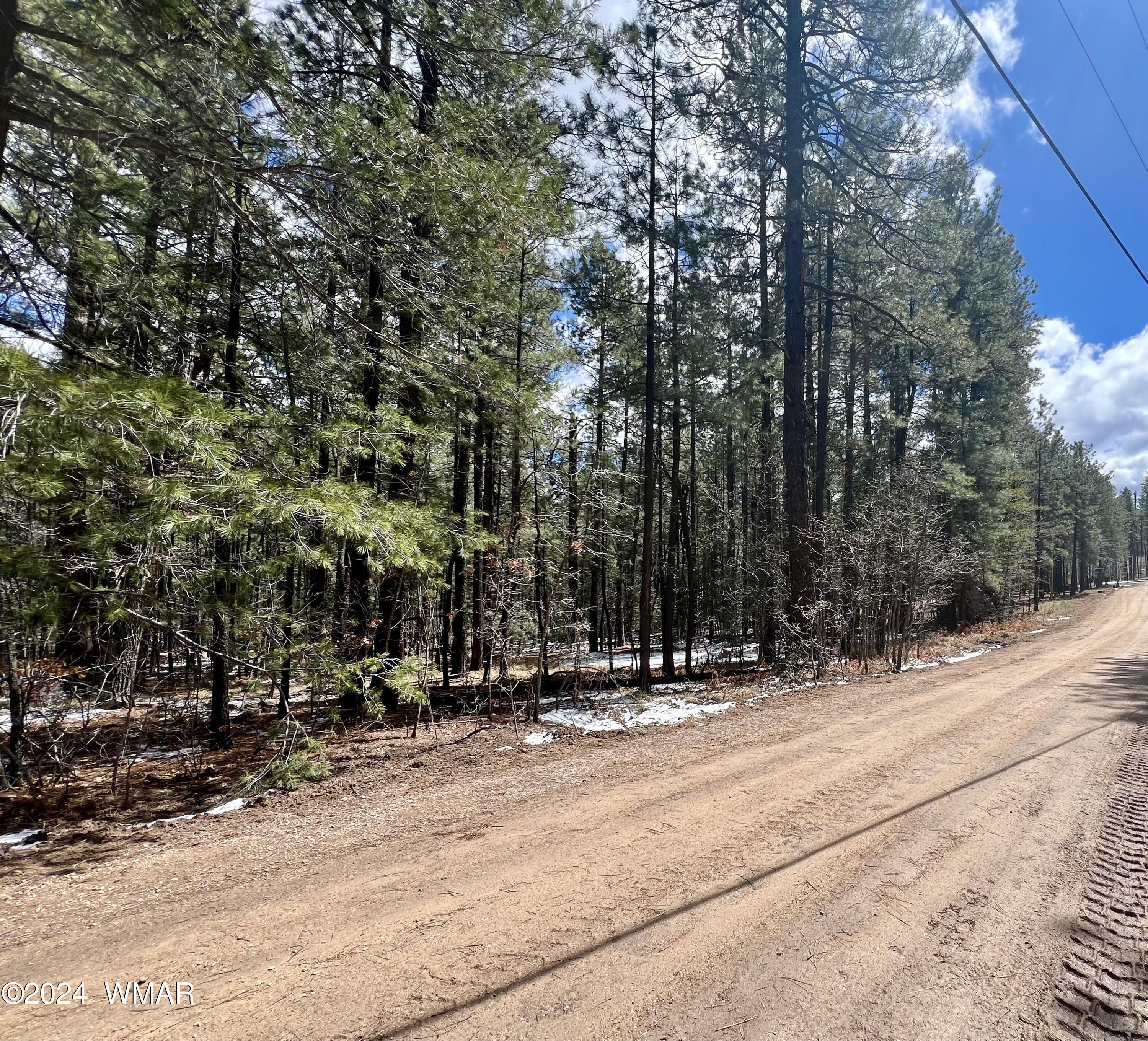 14 County Road 2134 Alpine, AZ 85920 - Photo 2 of 20 a view of outdoor space with trees