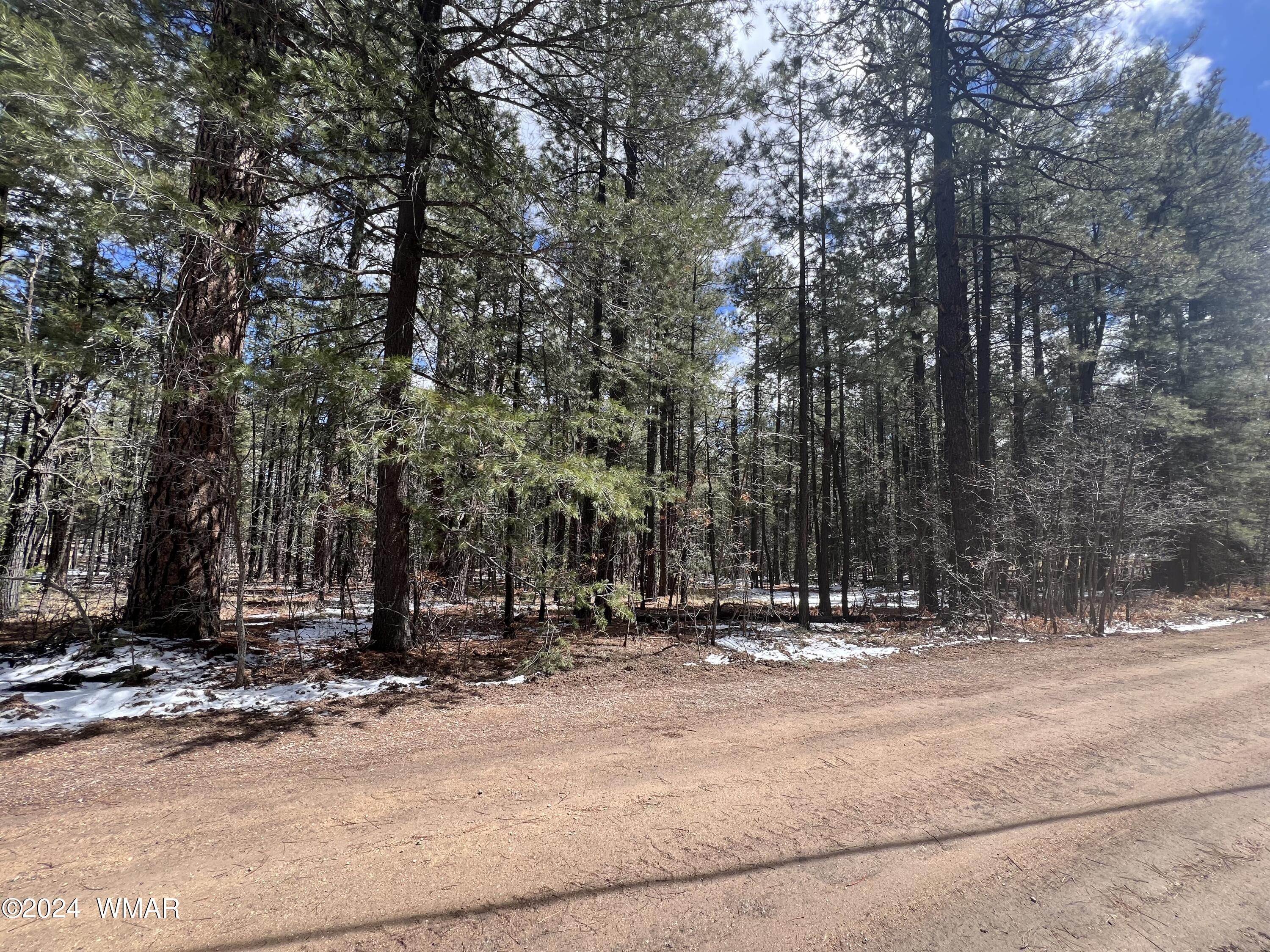 14 County Road 2134 Alpine, AZ 85920 - Photo 4 of 20 a view of outdoor space with trees