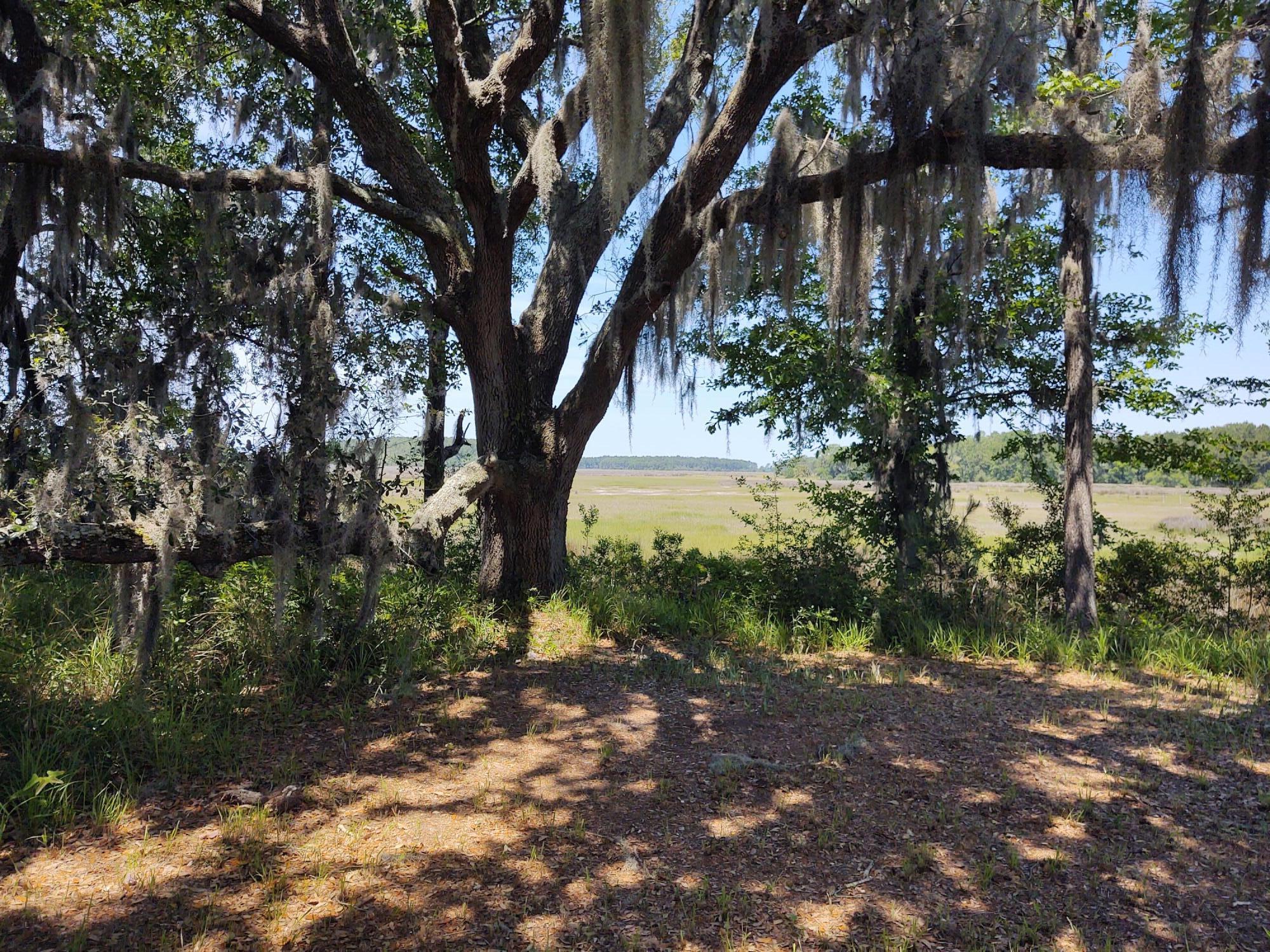 10 Lighthouse Lane Green Pond, SC 29446 - Photo 1 of 9 IMG_20210517_121145537