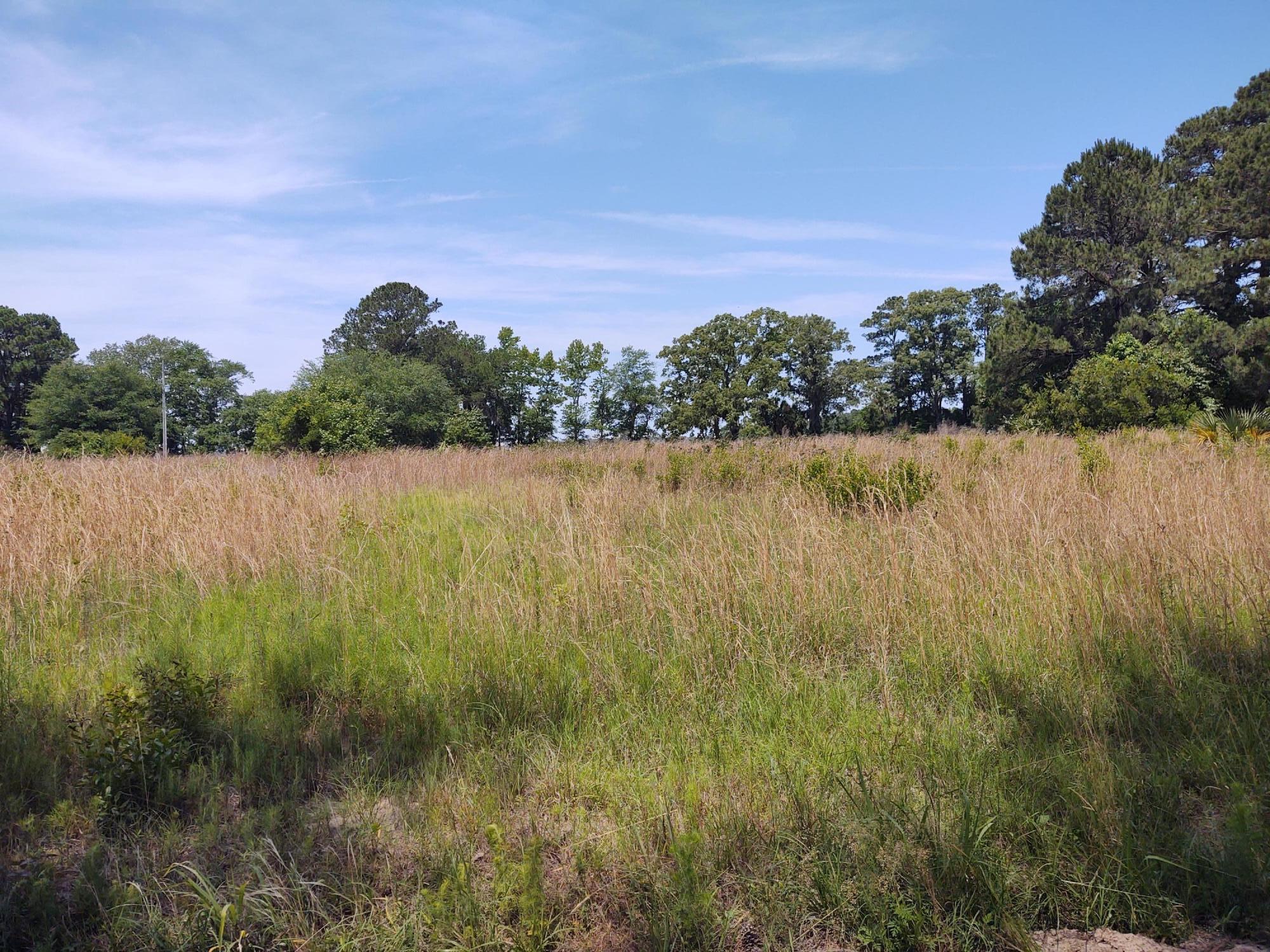 10 Lighthouse Lane Green Pond, SC 29446 - Photo 5 of 9 IMG_20210517_121846574