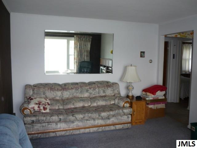 4007 Donnely Road Jackson, MI 49201 - Photo 4 of 26 Photo 4