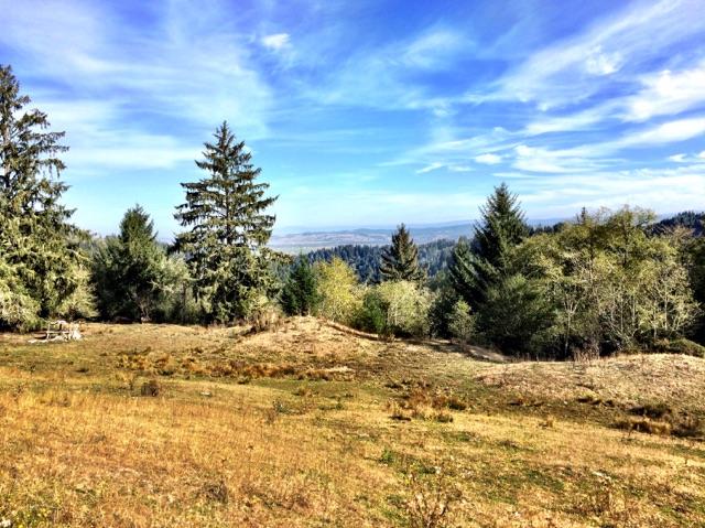 110-acre Oeschger Road Ferndale, CA 95536 - Photo 1 of 6