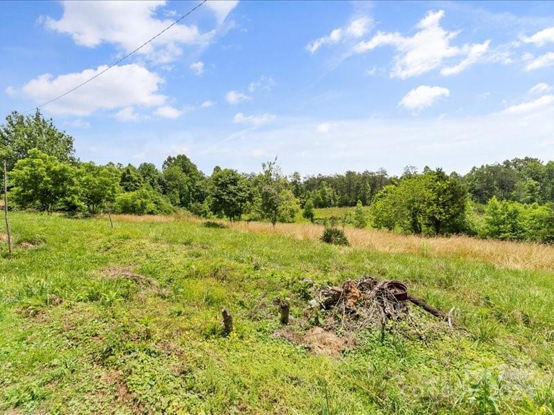 4080 Piney Road Morganton, NC 28655 - Photo 17 of 23 a view of a yard with a tree