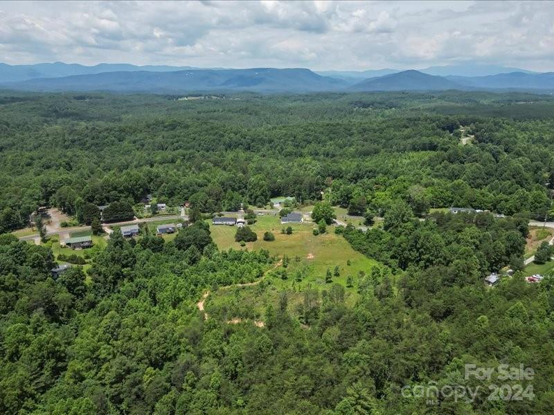 4080 Piney Road Morganton, NC 28655 - Photo 19 of 23 a view of a green field with lots of bushes