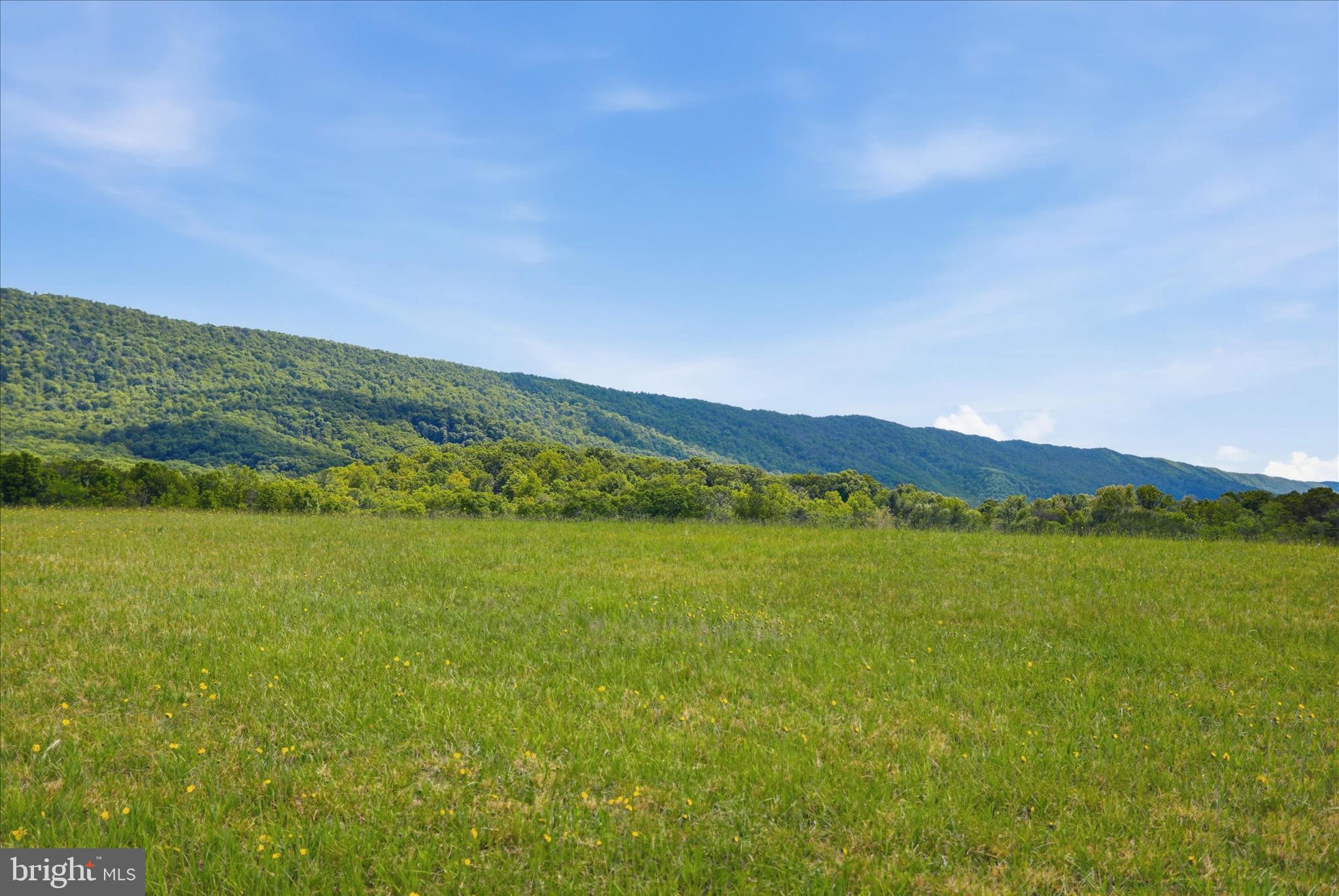 Lot 9 Sandy Hook Road Strasburg, VA 22657 - Photo 12 of 17
