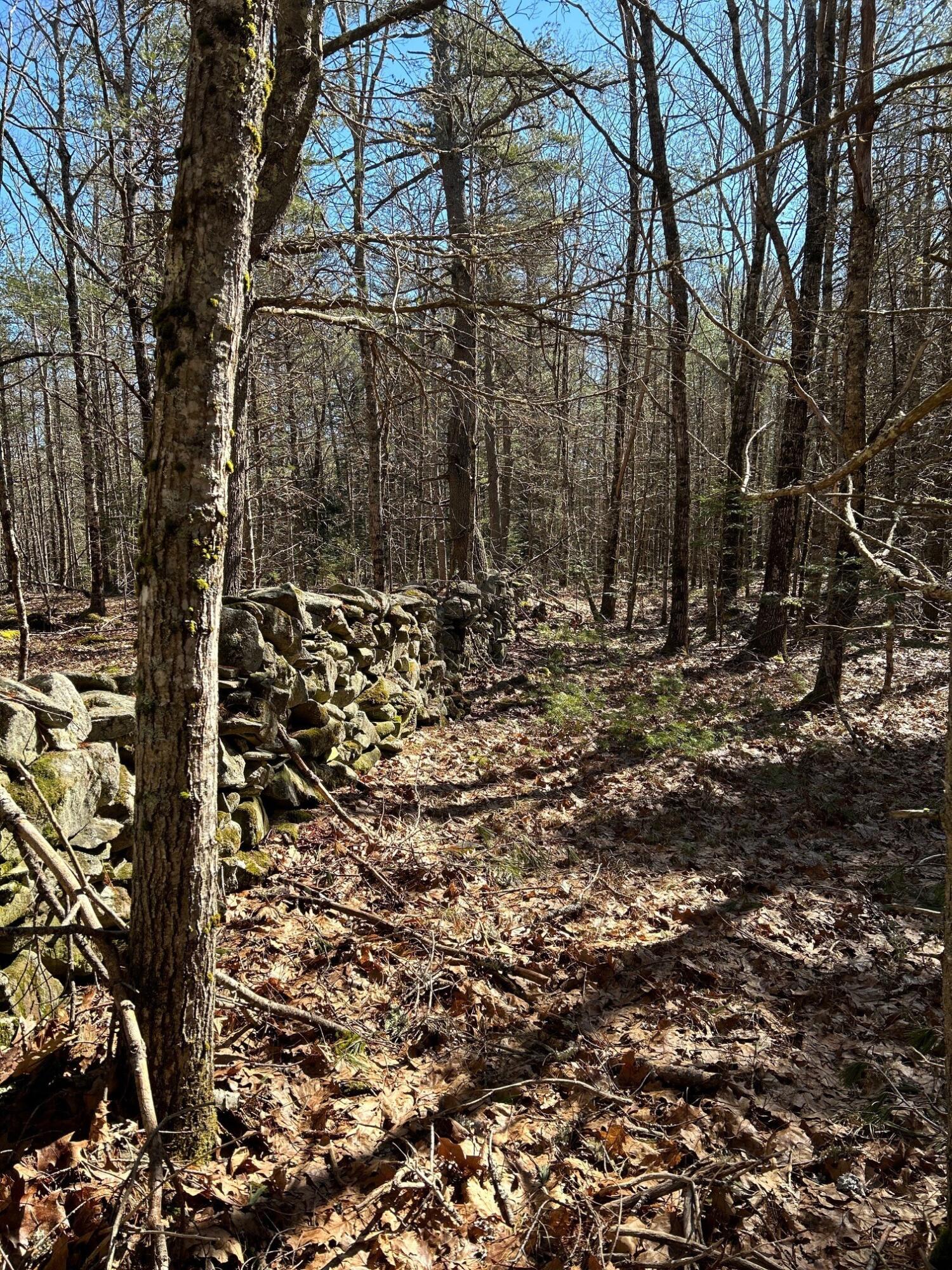 375 West Neck Road Nobleboro, ME 04555 - Photo 7 of 7 stonewall south