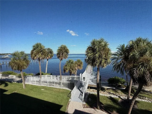a view of a swimming pool with a lawn chairs under palm tree