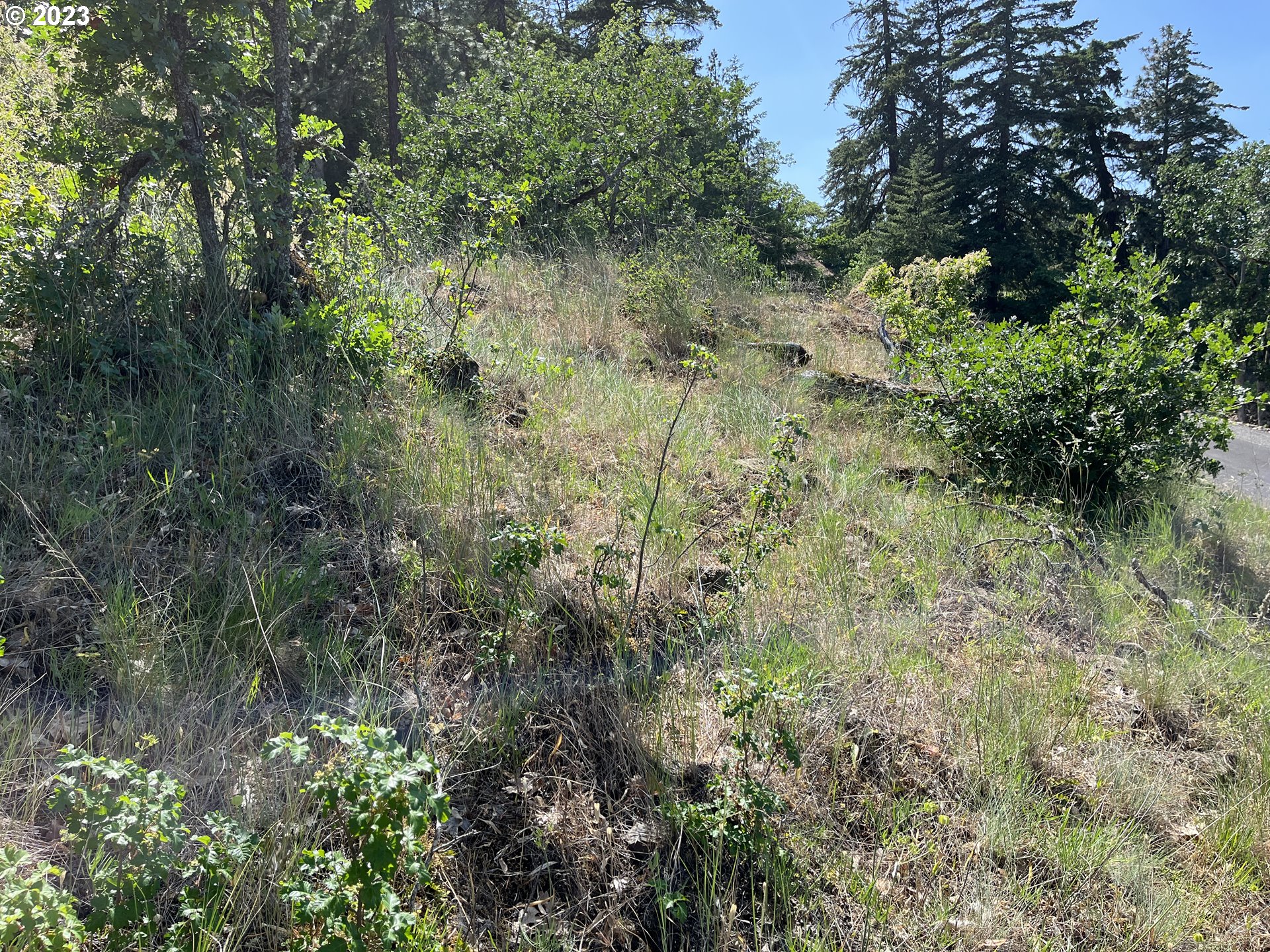 Asher Street, Unit 36 Mosier, OR 97040 - Photo 18 of 33