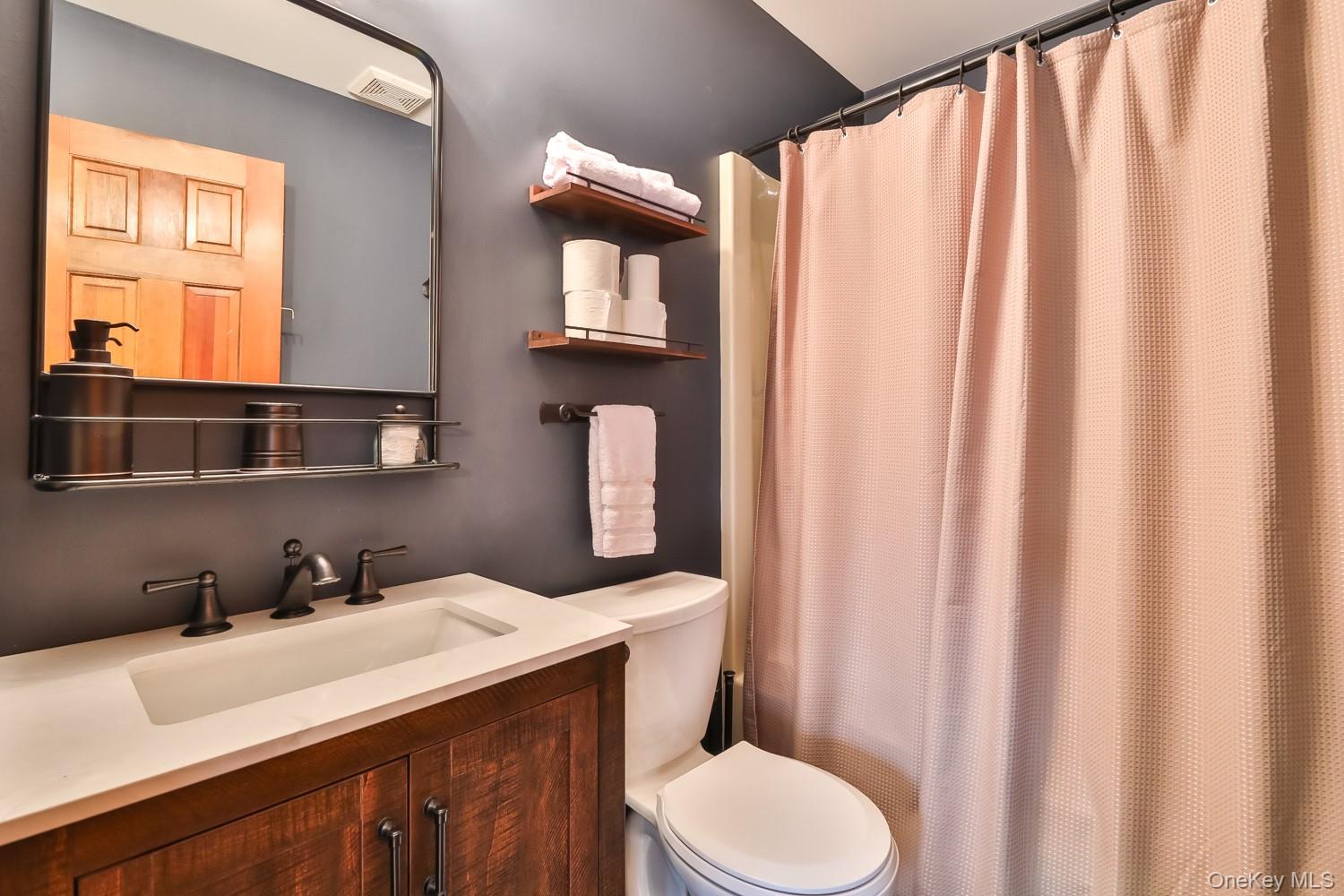 61 Mt View Estates Road Windham, NY 12496 - Photo 16 of 38 a bathroom with a sink a toilet and shower curtain