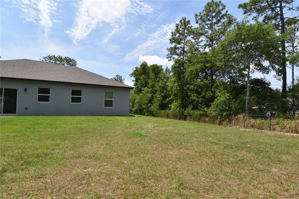 14241 Ravine Avenue Weeki Wachee, FL 34614 - Photo 32 of 48 a backyard of a house with lots of green space